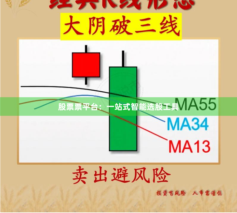 股票票平台：一站式智能选股工具