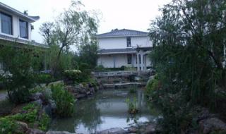 公司团建一日游的活动方案