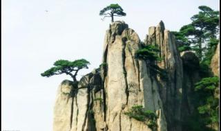 南京到黄山旅游价格