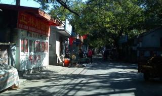 北京十一去哪旅游好