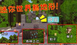 迷你世界雨林地图地形码