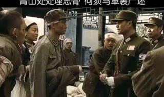 青山处处埋忠骨教学设计