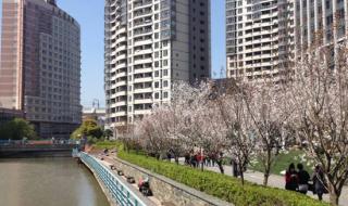 上海外国语大学贤达学院
