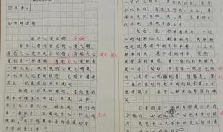 我的心爱之物450字五年级